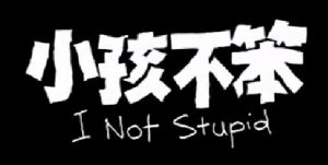 I Not Stupid 小孩不笨